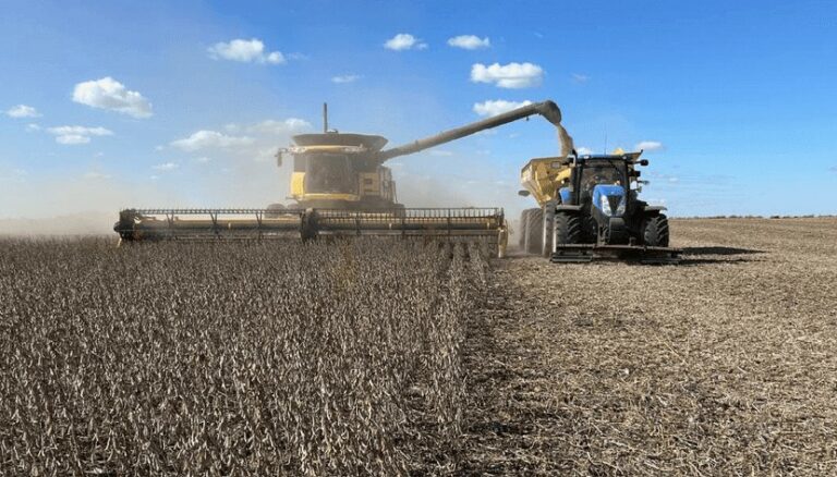 Avanza la cosecha y, en la tierra del maíz, a la nota la dan la soja y el girasol