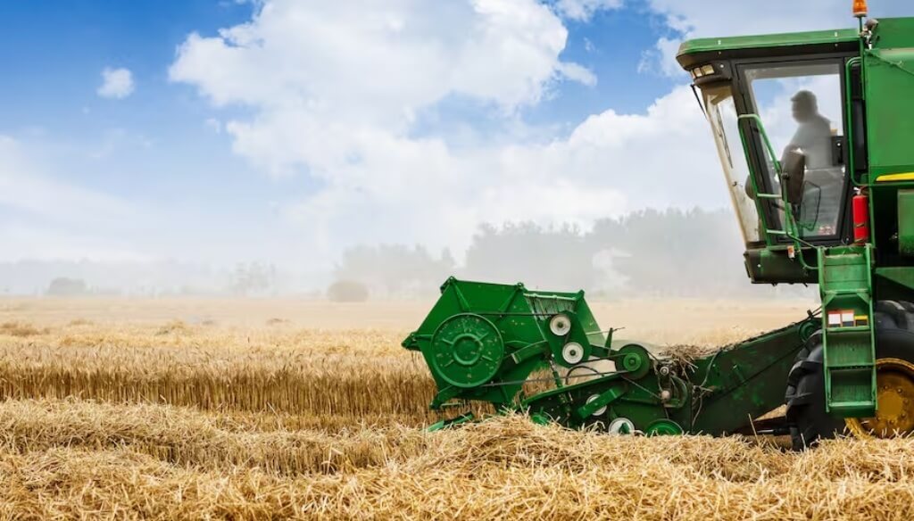 El trigo argentino, ante una gran oportunidad comercial: “Está en uno de los mejores mundos posibles”