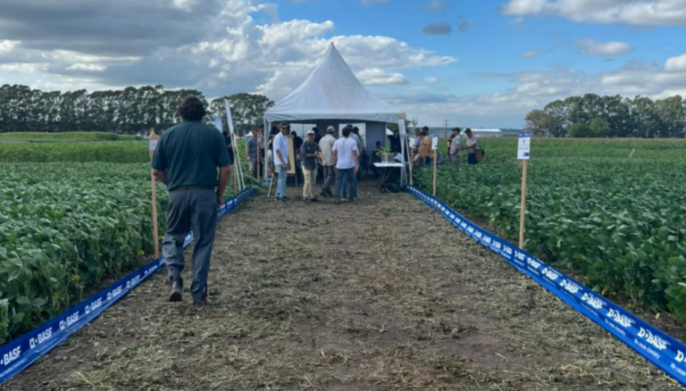 De los drones a la semilla: en Tandil, una parada en el camino tecnológico hacia mayor productividad