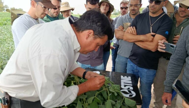 Un “Safari” semillero 360: cuando la genética abre su “cocina” y muestra cómo se construye el rinde