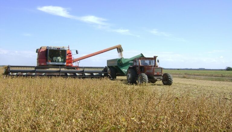 Con apuro, comenzó la cosecha de soja en la zona núcleo y hay optimismo por los primeros rindes